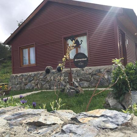 Cabanas "Las Margaritas" Ushuaia Eksteriør billede